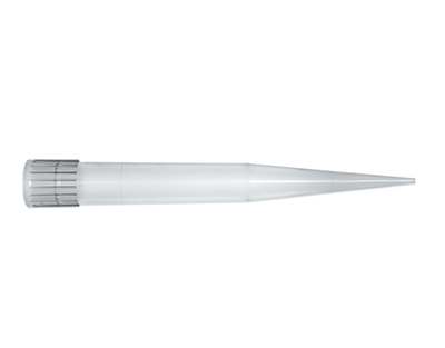 Punta transp. macro 10 ml, 3xB/100