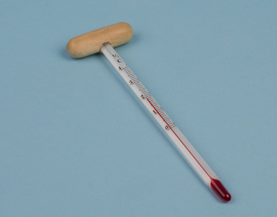 Thermometer for wine