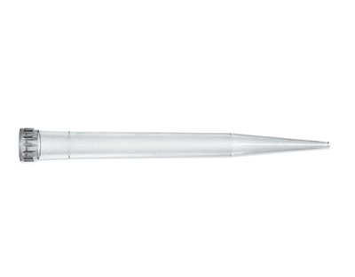 Punta transp. macro 2 ml, 2xB/250
