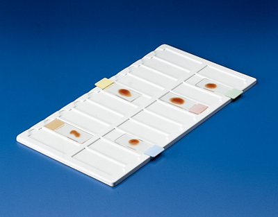 Plaque de présentation p/lames de microscopie PVC