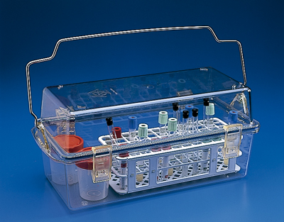 Caja seguridad