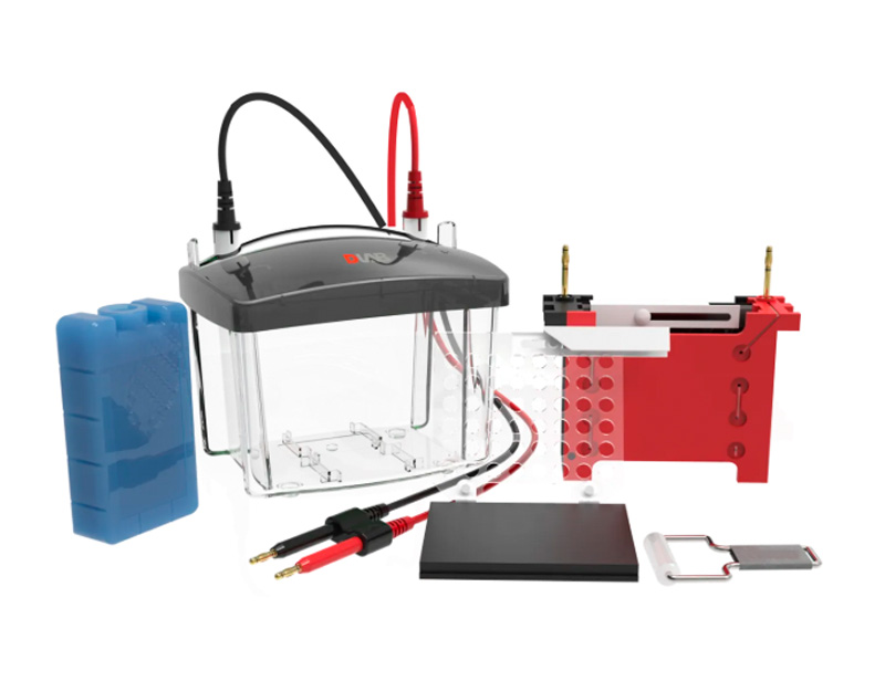 Cubeta de transferencia DL-ZY03