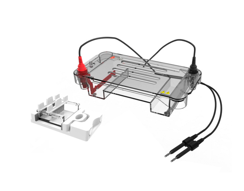 Cubeta electroforesis horizontal DL-SUB01