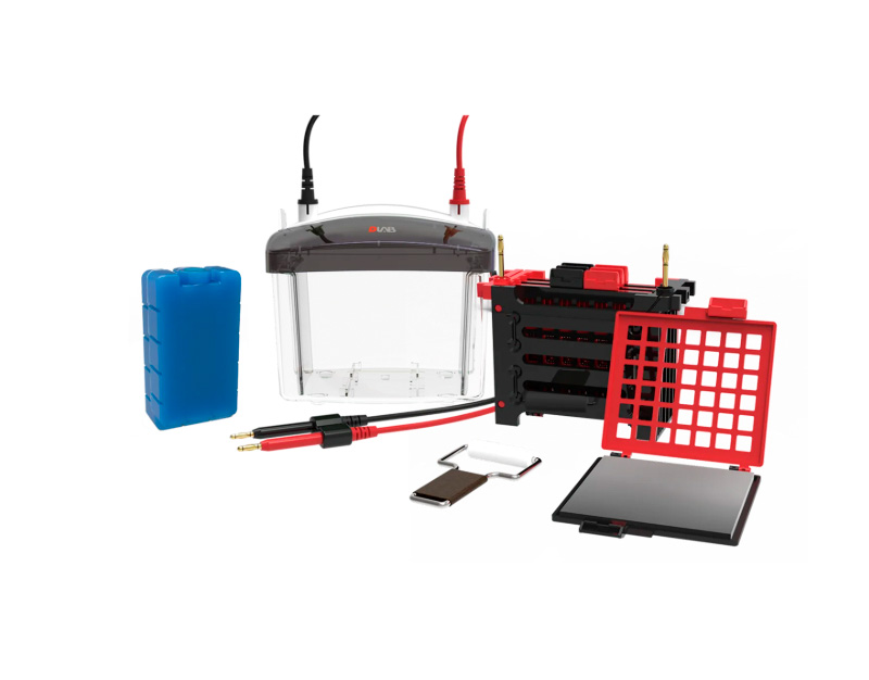 Cubeta de transferencia DL-ZY04