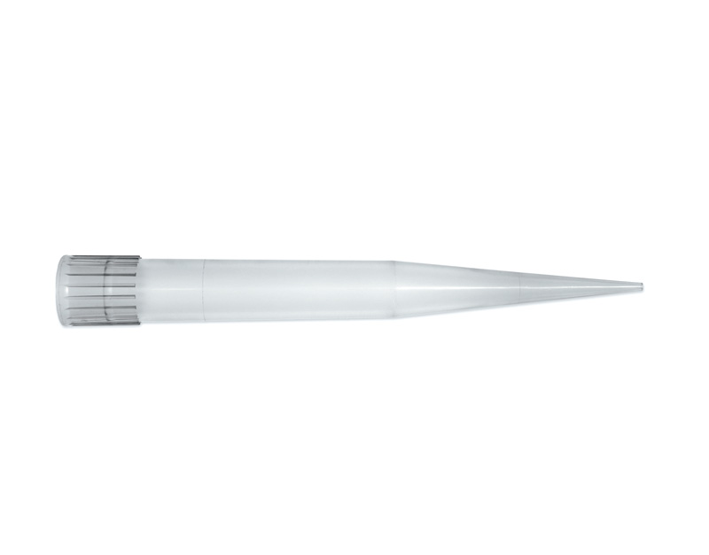 Punta transp. macro 10 ml, 3xB/100