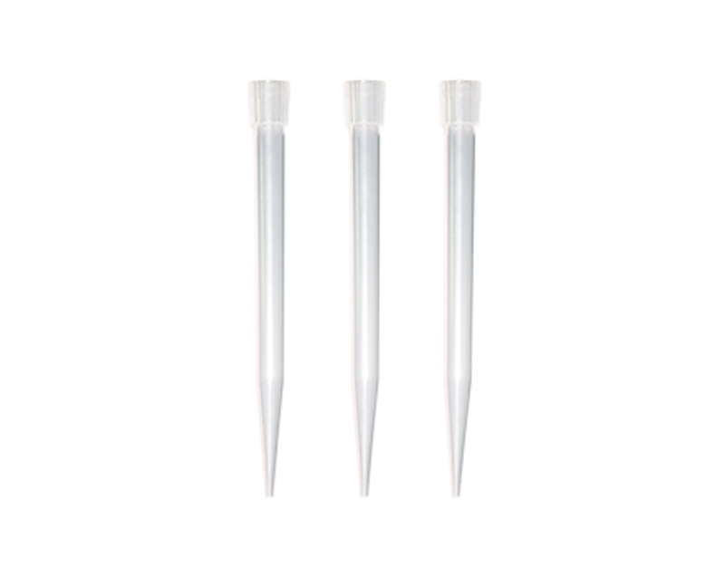 Punta transp. macro 10 ml, B/100