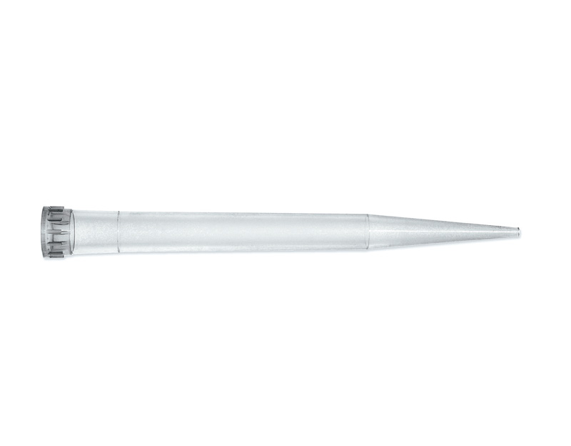 Punta transp. macro 2 ml, 2xB/250
